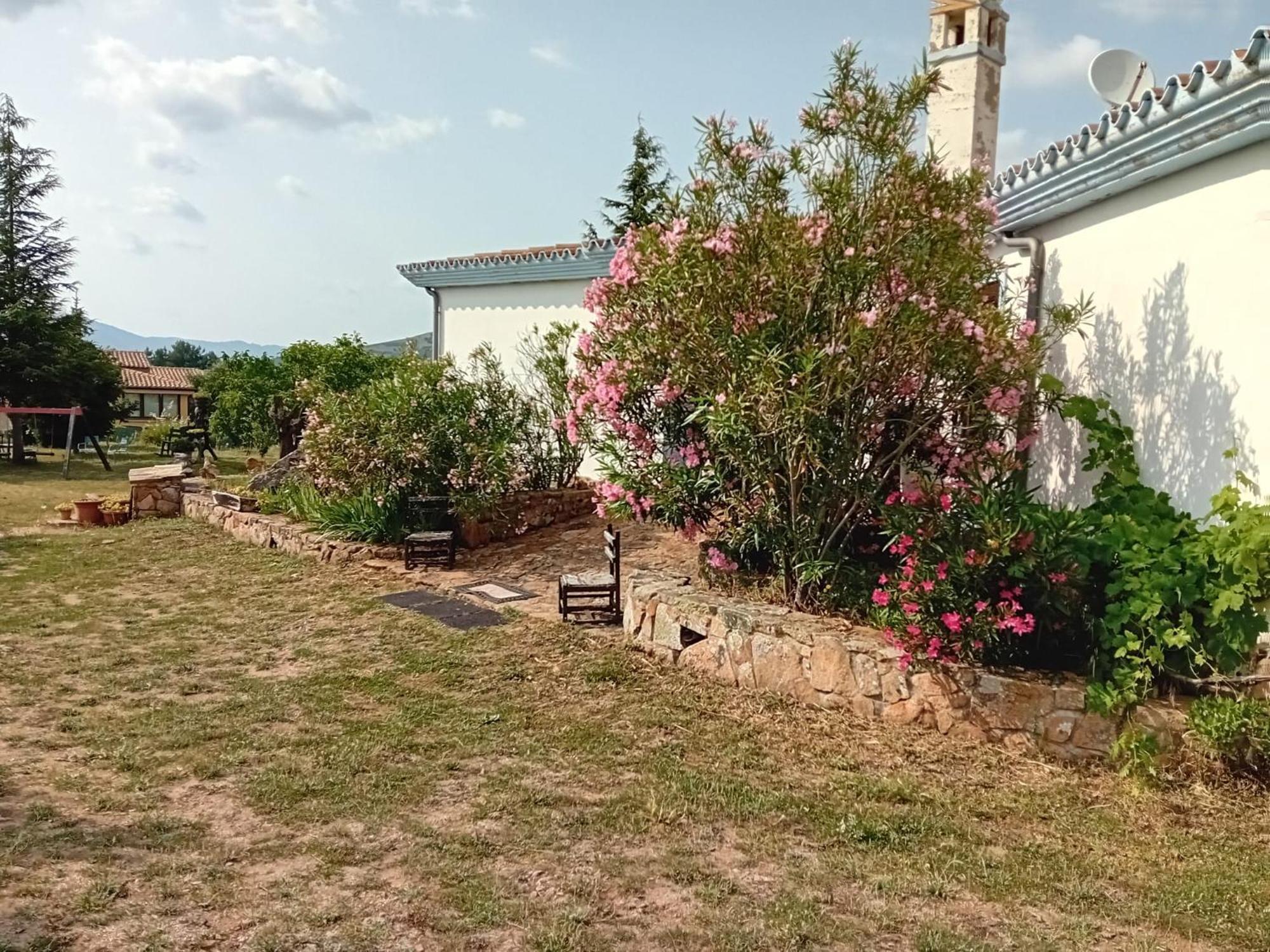 Lugori Bed and Breakfast Seùlo Eksteriør billede